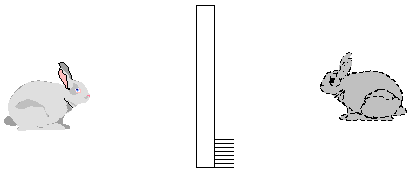 reflexao8.gif (2679 bytes)